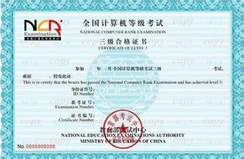 全國計算機等級考試與計算機系統(tǒng)集成資質 等級劃分與區(qū)別詳解